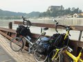 On a Radfahre (bike ferry)