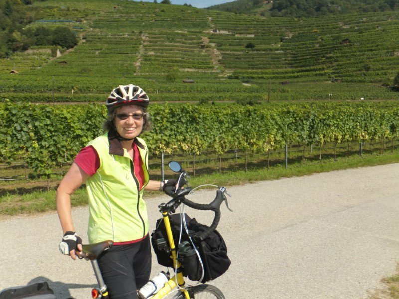 In the Wachau vineyards
