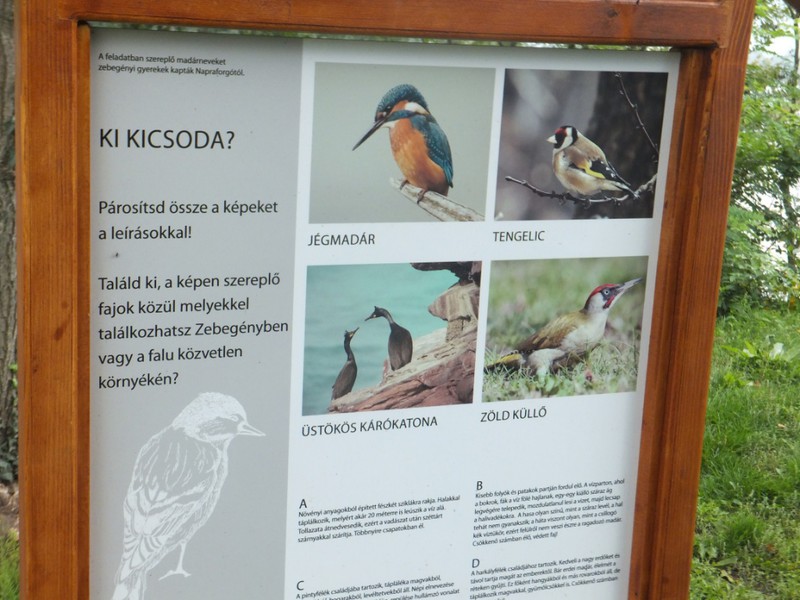 Bird ID sign in a natural area