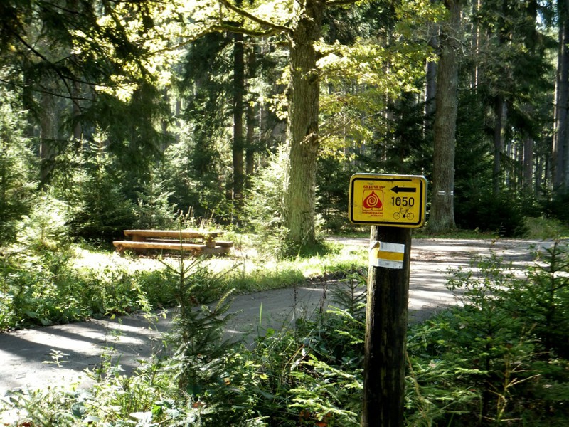 Bike route sign in the forest