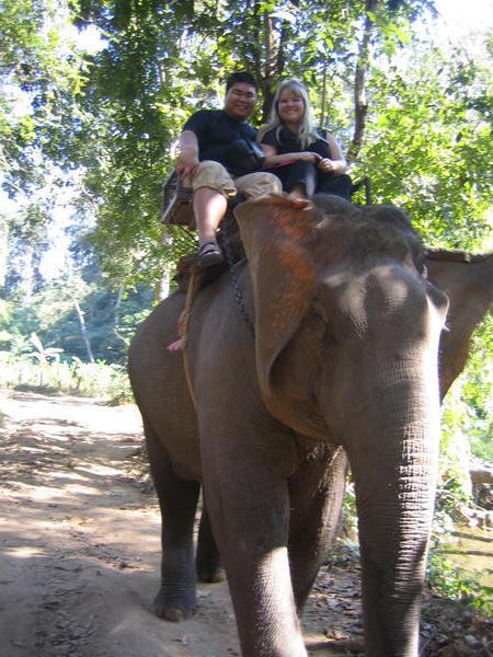 Elephant ride 