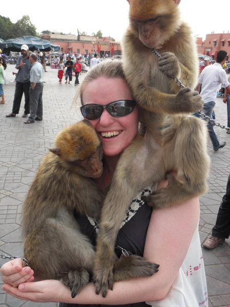 Stop monkeying around!