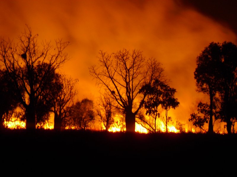 parry creek bush fire 163