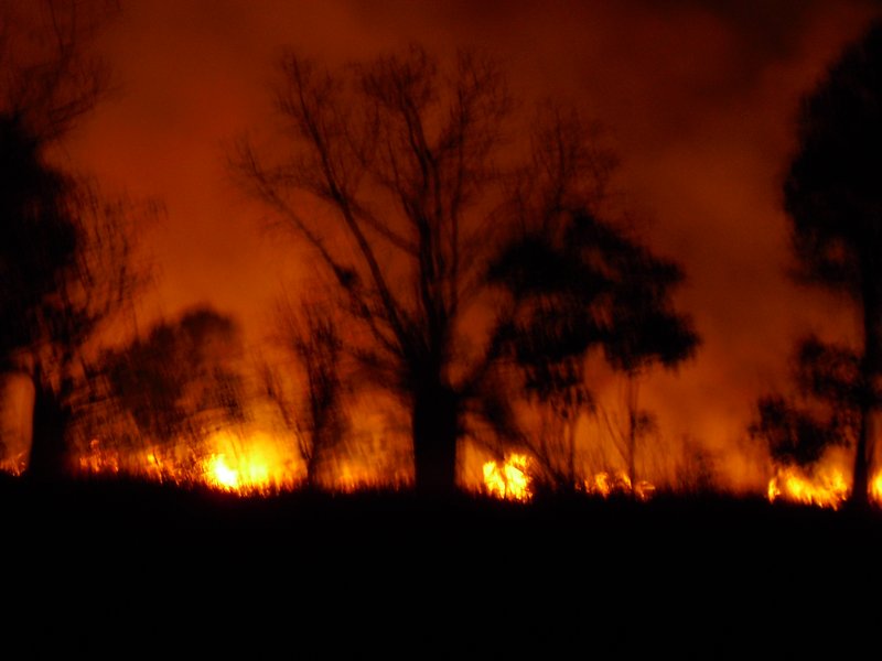 parry creek bush fire 166