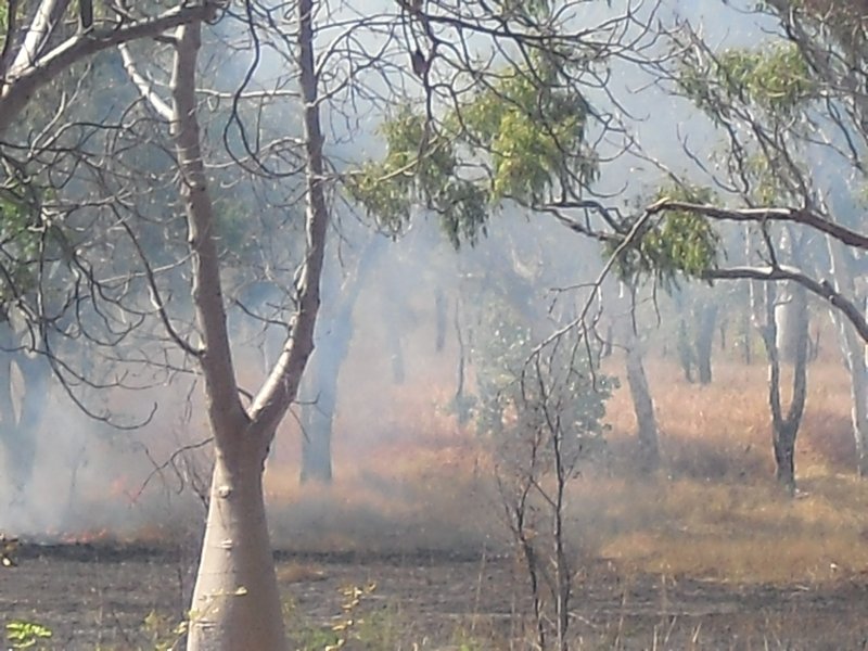parry creek bush fire 194