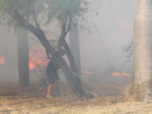 parry creek bush fire 240
