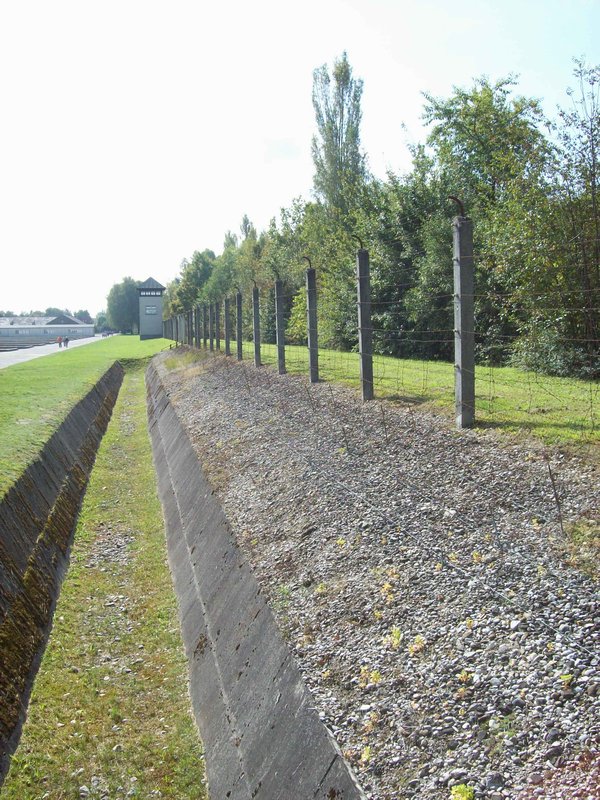 Ditch and electrified fence