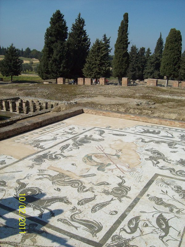 Italica mosaic