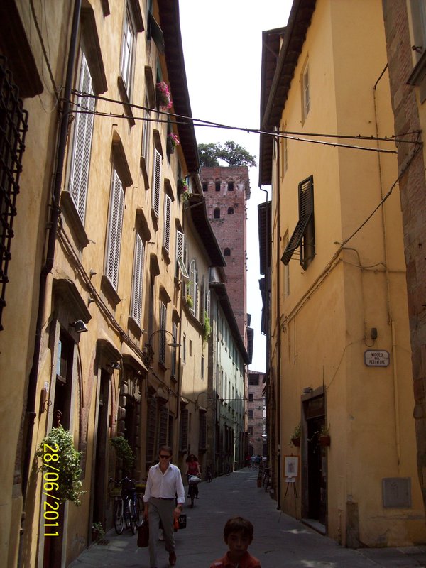 Lucca Tree Tower