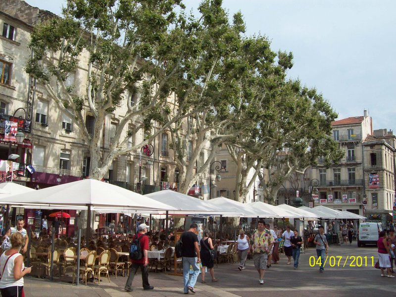 Street view Avignon