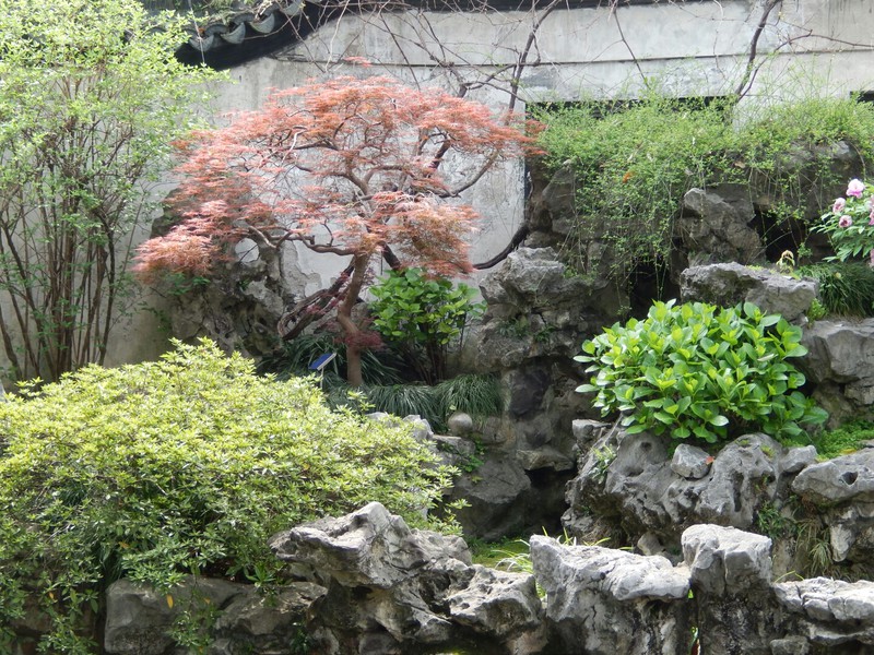 Yu Garden Scene