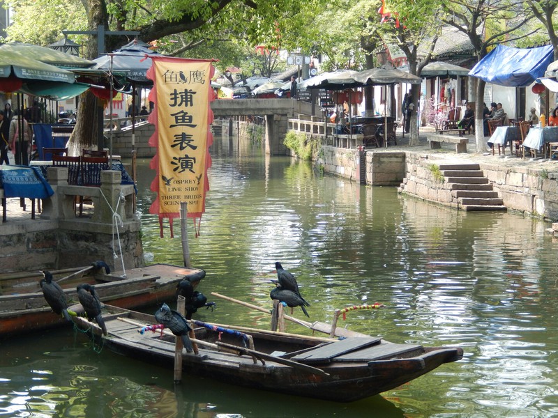 Tong Li water town