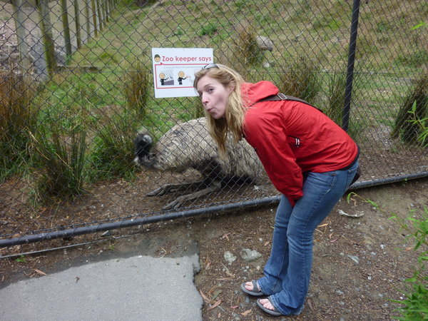 Zoo de Wellington