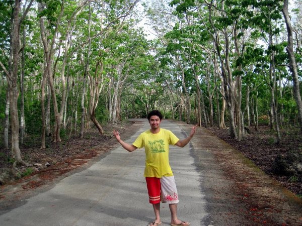 Happy Loner Traveller - Man Made Forest