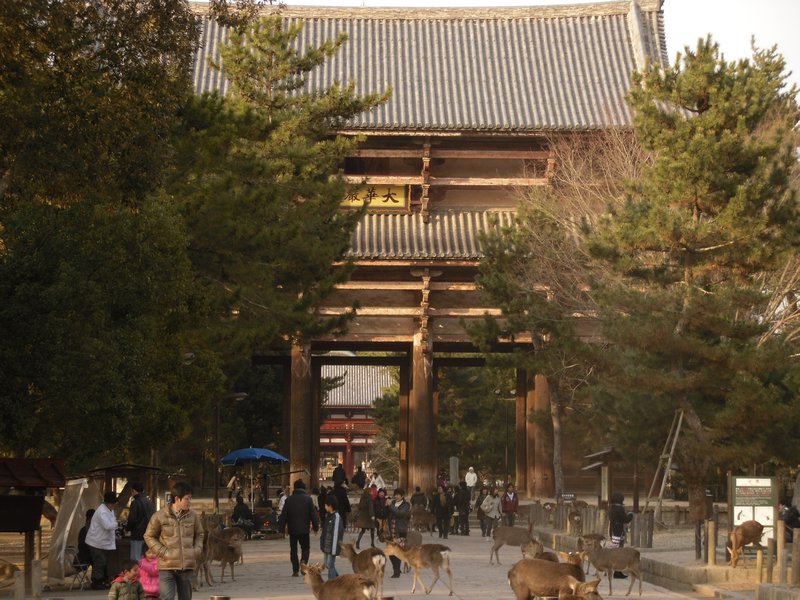 Gate to the Todaiji