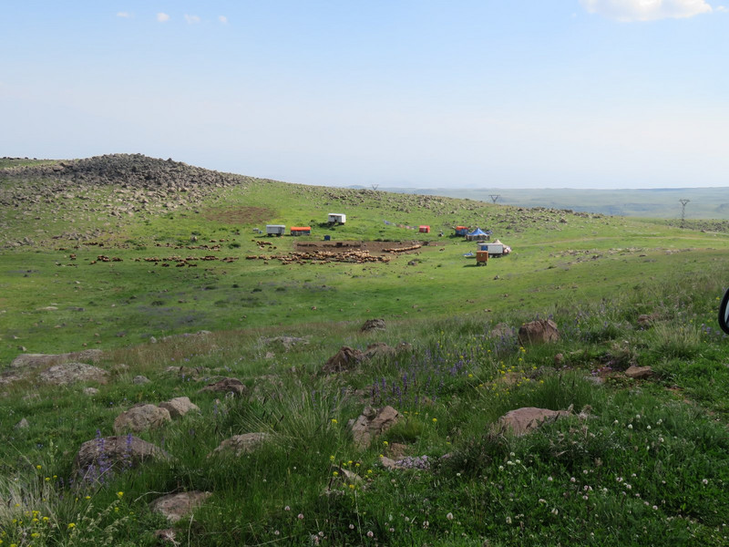 Summer Pastures, Mt Aragats