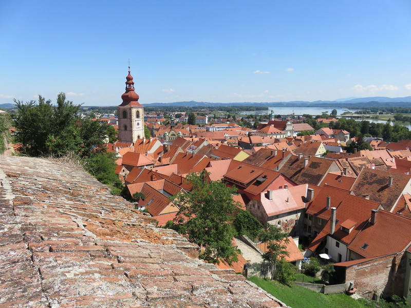Ptuj from the castle