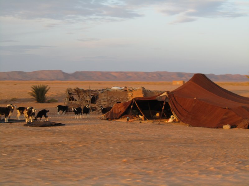 Nomad's tent