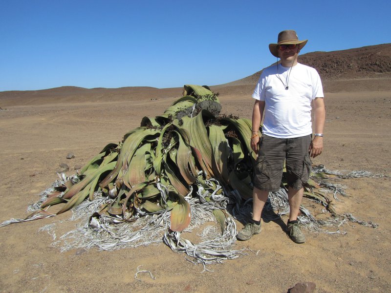 Rob with giant Welwitschia