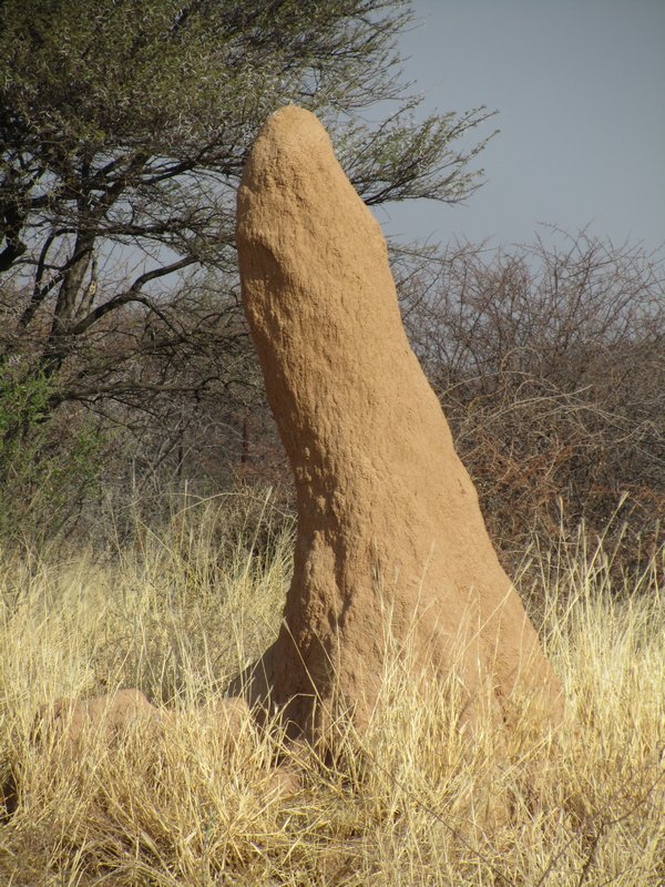 Termite mound or fertility symbol