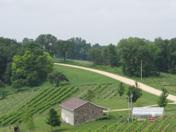 View from the winery balcony