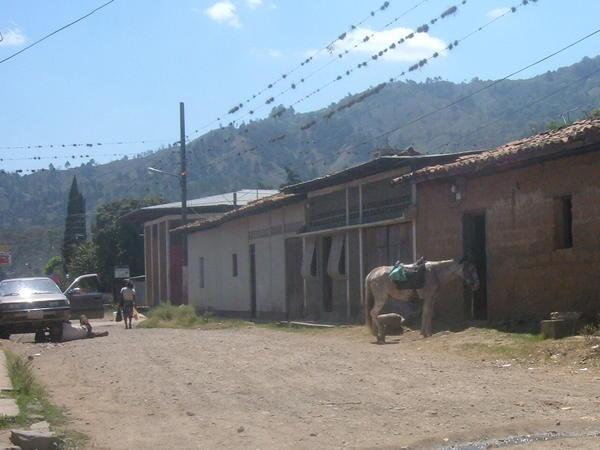 The "city" of Jalapa
