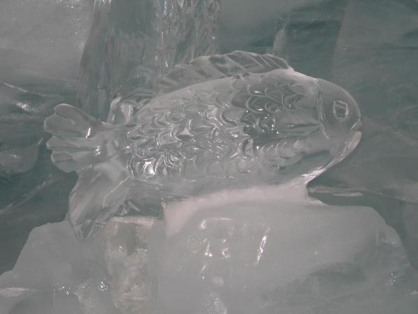 Ice Fish in the Ice Cave