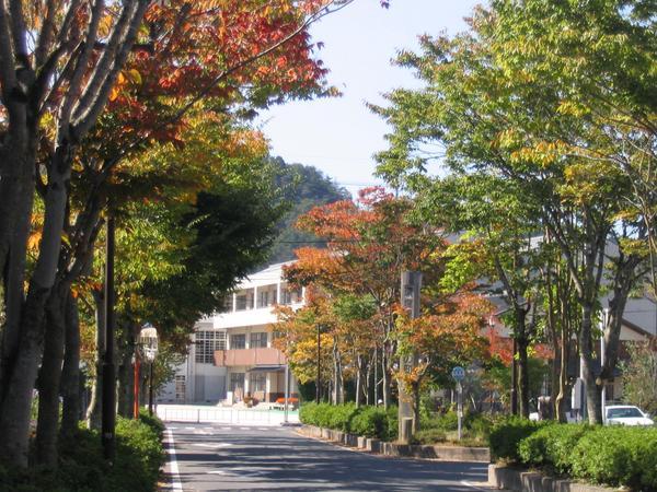 Autumn in Yokota 