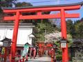 Taikodani-Inari 'torii'