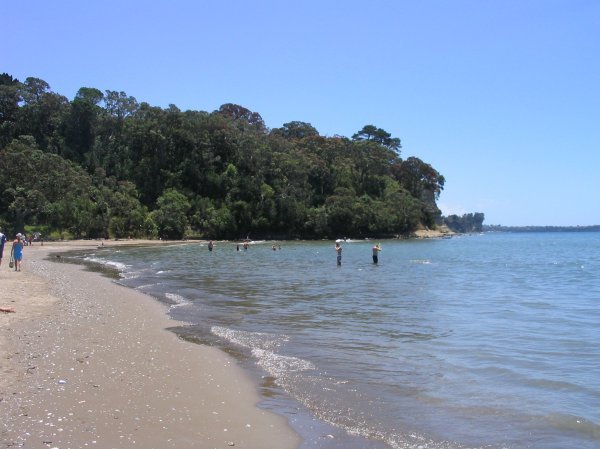 Long Bay - Auckland