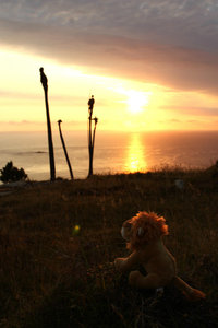 Hospi watching a Pitt Island sunrise