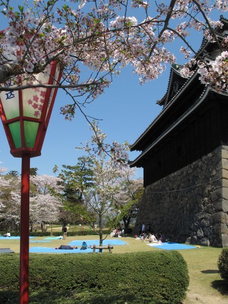 Cherry blossom viewing - Shimane