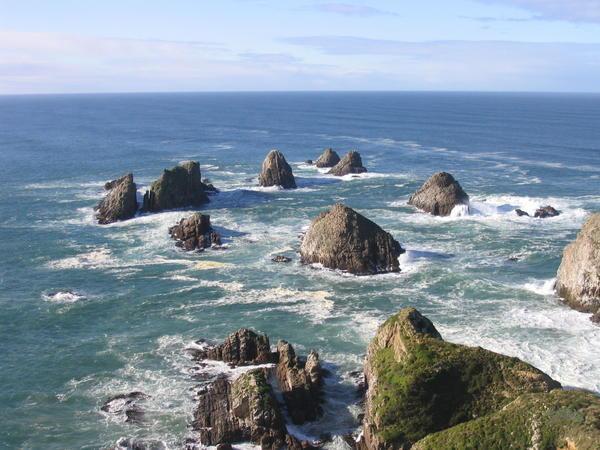 Nugget Point 2