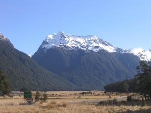 From Hollyford to Milford