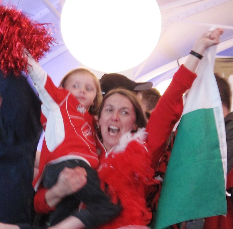 Wales fans celebrate win over Ireland