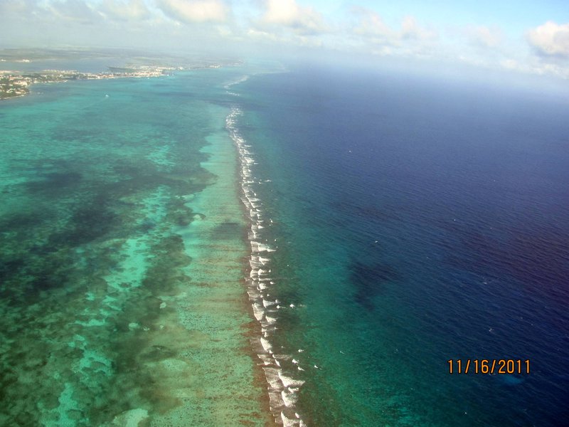 Barrier Reef