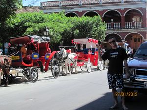 Horse with Cart in the Centro