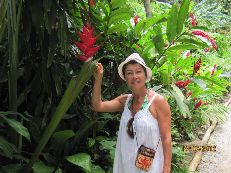 At the Tropical Gardens