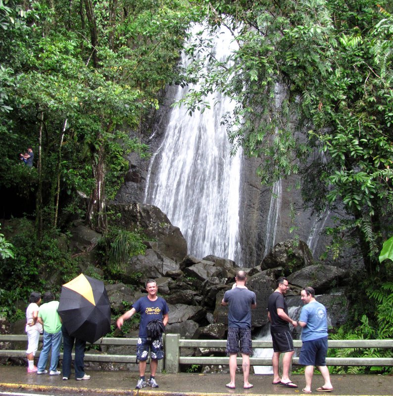 Coca Falls in El Yunque Rain Forest