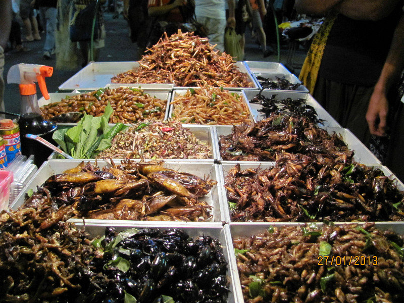 Insects for Food