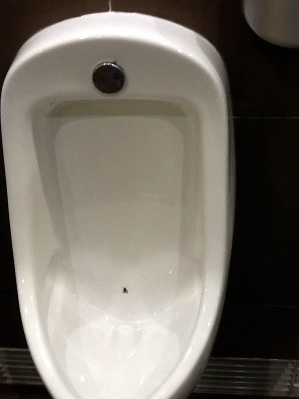 Fly In the Urinal