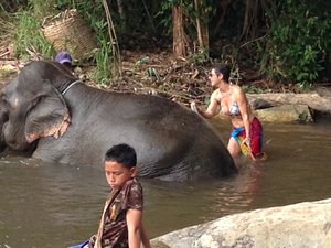 Bathing the Elephants