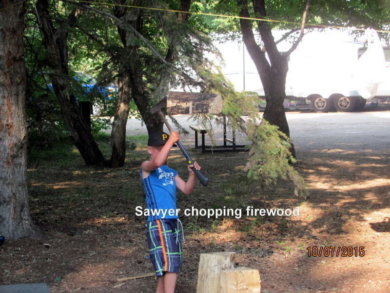 Sawyer's Chopping Firewood