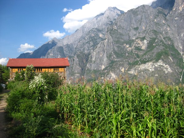 tiger leaping gorge (6)