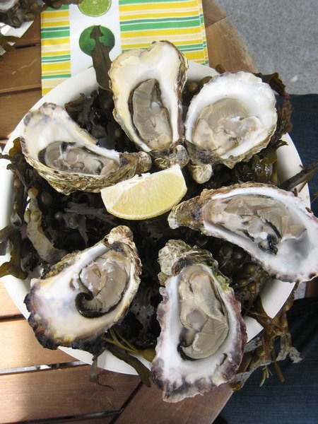 Connemara Oysters