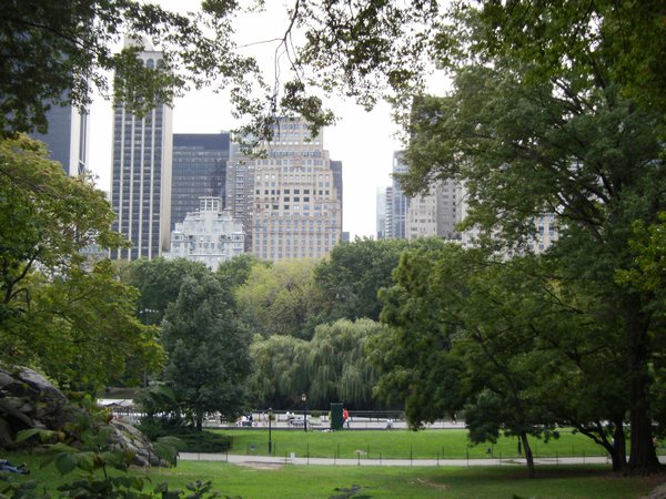  Vue sur la ville de NY de Central Park