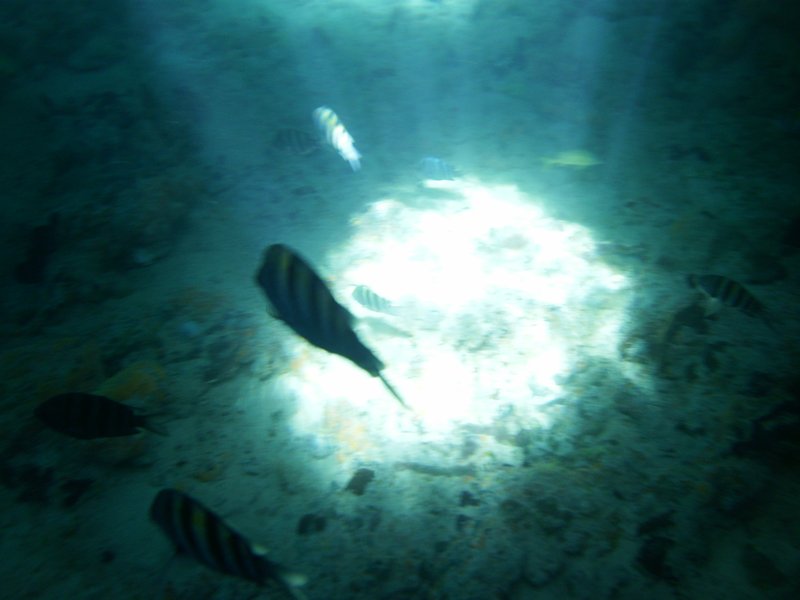 Grotte Thunderball à Staniel's Cay