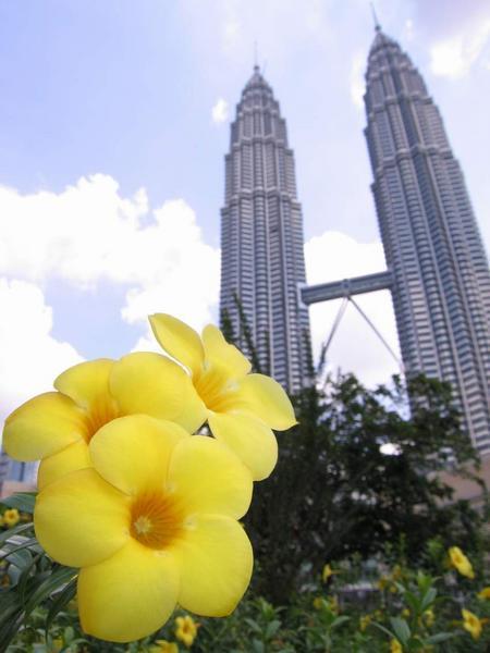 Flower Towers