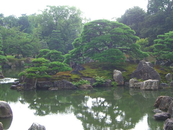 A japanese Garden.