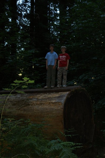 Us on a log